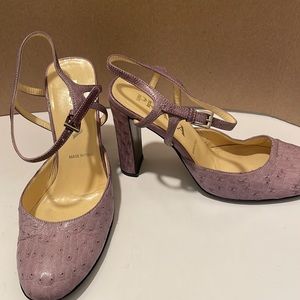 Purple color  ostrich